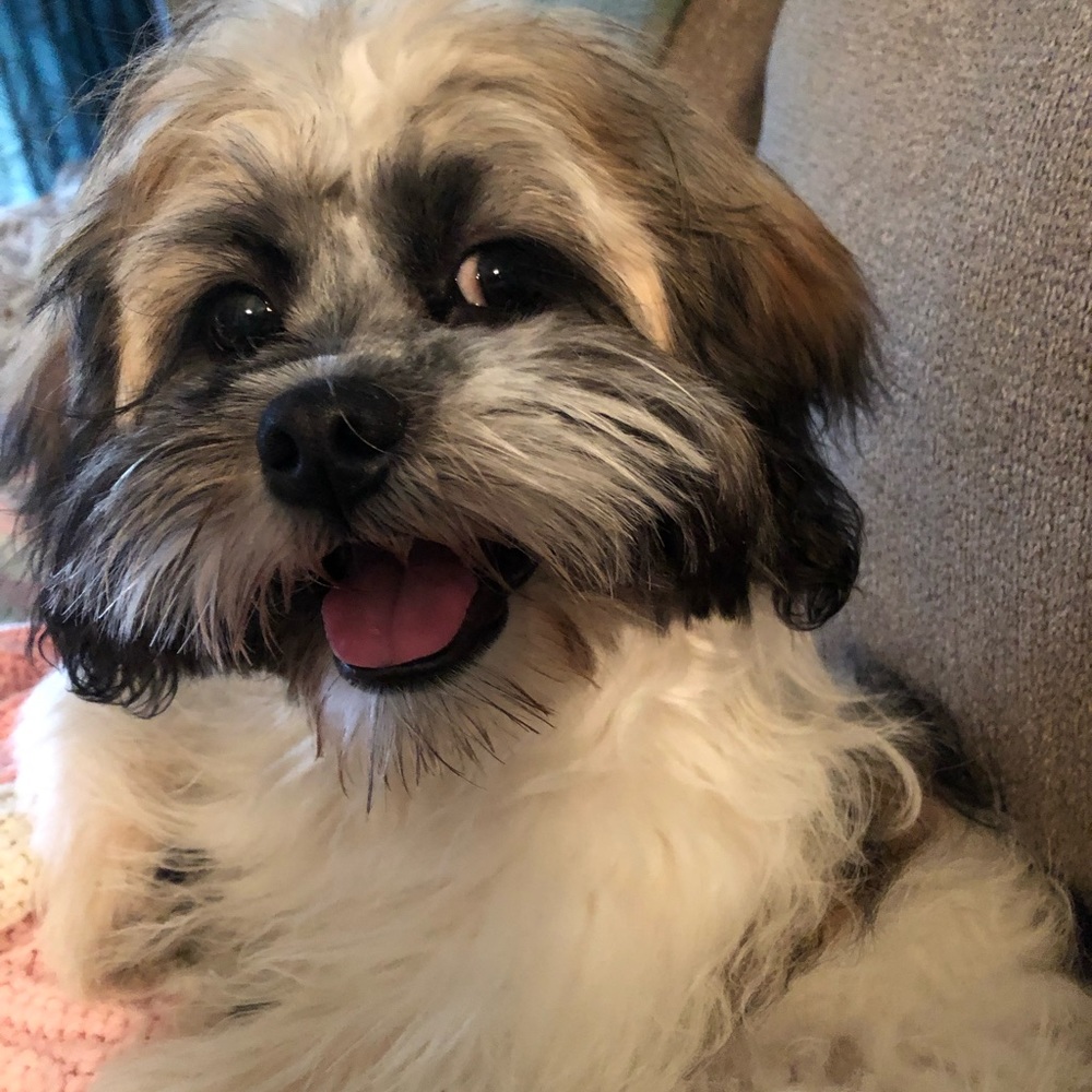 Meet your Posher, Renee